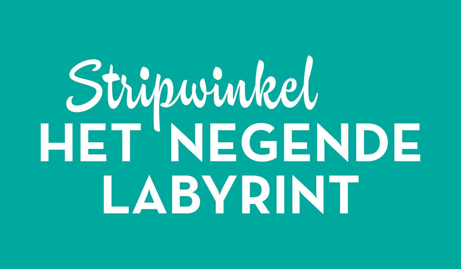 Het Negende Labyrint